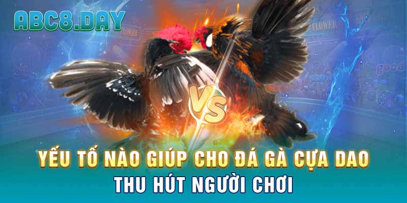 Yếu tố nào giúp cho đá gà cựa dao thu hút người chơi